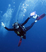 how to become a padi professional?