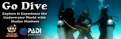 Scuba Diving Courses Malaysia with Marine Monkees 