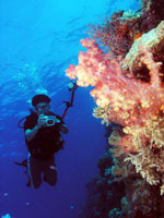 padi advanced open water diver