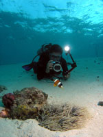 padi specialty digital underwater photography diver