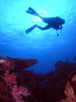 padi master scuba diver