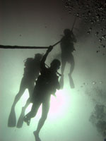 padi specialty deep diver
