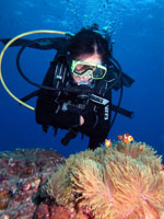padi open water diver
