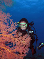 scuba diving malaysia