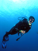 padi scuba diver malaysia