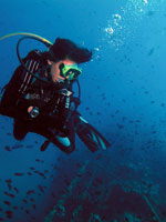 padi specialty wreck diver