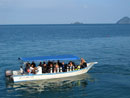 Quiver Dive Team Perhentian Island Malaysia