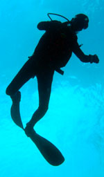 padi divemaster course