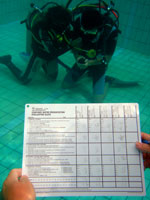 padi idc staff instructor