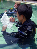 padi idc staff instructor