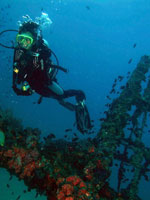 padi specialty instructor course